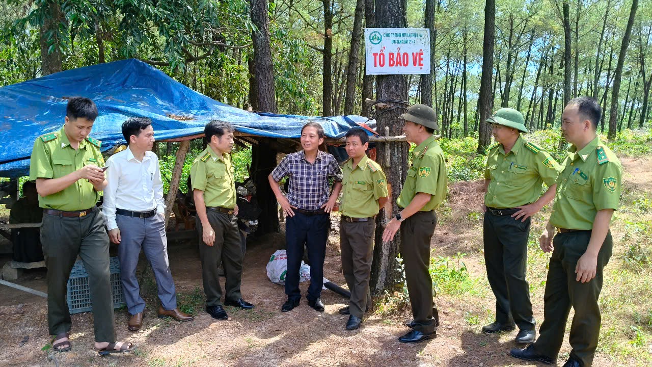 KIỂM TRA, ĐÔN ĐỐC CÔNG TÁC PHÒNG CHÁY CHỮA CHÁY RỪNG TẠI MIỀN TRUNG